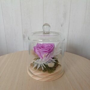 Rose stabilisée