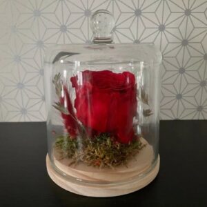 Rose stabilisée