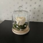 image00004 (Moyen)