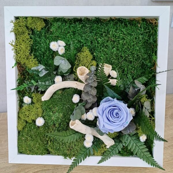 Rose au jardin – Image 6