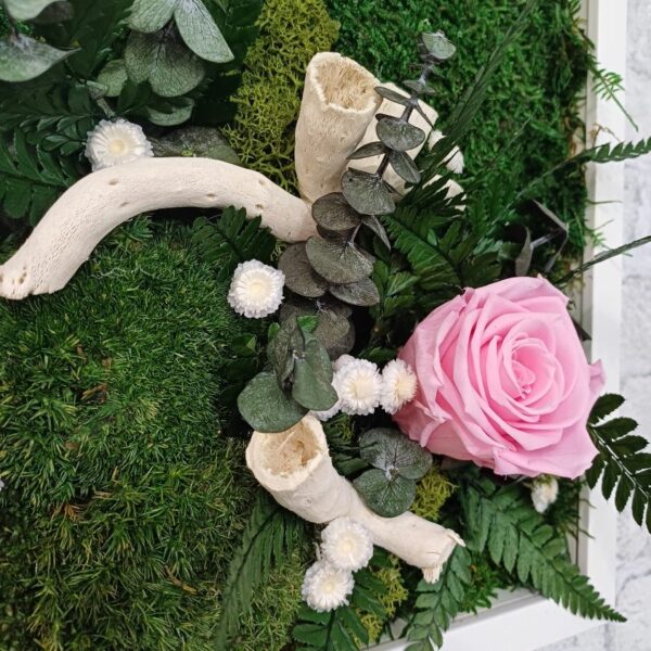Rose au jardin – Image 4