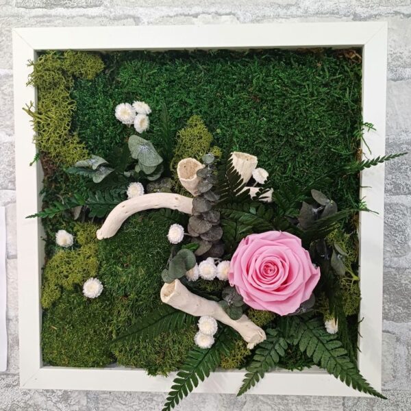 Rose au jardin – Image 3