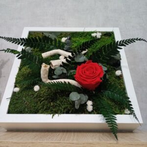 Rose au jardin