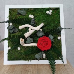 Rose au jardin