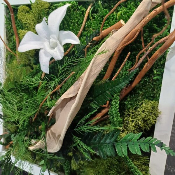 Tropical – Image 2